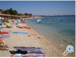 Appartements Lavanda Centar - ostrov Vir Croatie