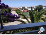 Appartements Leona - ostrov Vir Kroatien