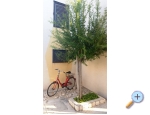 Appartements Vir - ostrov Vir Kroatien