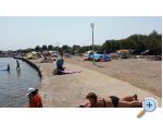 Appartements Vir - ostrov Vir Croatie