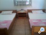 Appartements Vir - ostrov Vir Croatie