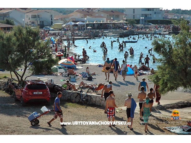 Appartements Lilly – Ferienwohnung Insel Vir, Kroatien – Foto 10