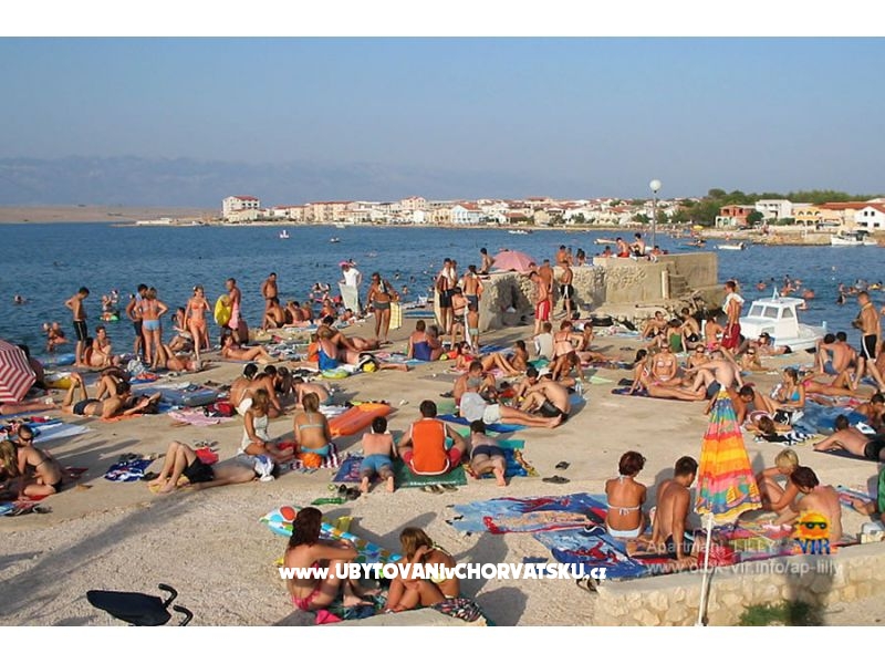 Appartements Lilly – Ferienwohnung Insel Vir, Kroatien – Foto 11