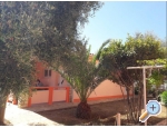 Appartements Marija - ostrov Vir Kroatien