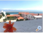 Appartements Plavo More - ostrov Vir Kroatien