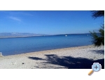 Appartements Plavo More - ostrov Vir Kroatien