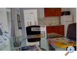 Appartements Mateo - ostrov Vir Kroatien