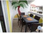 Appartements Mateo - ostrov Vir Kroatien
