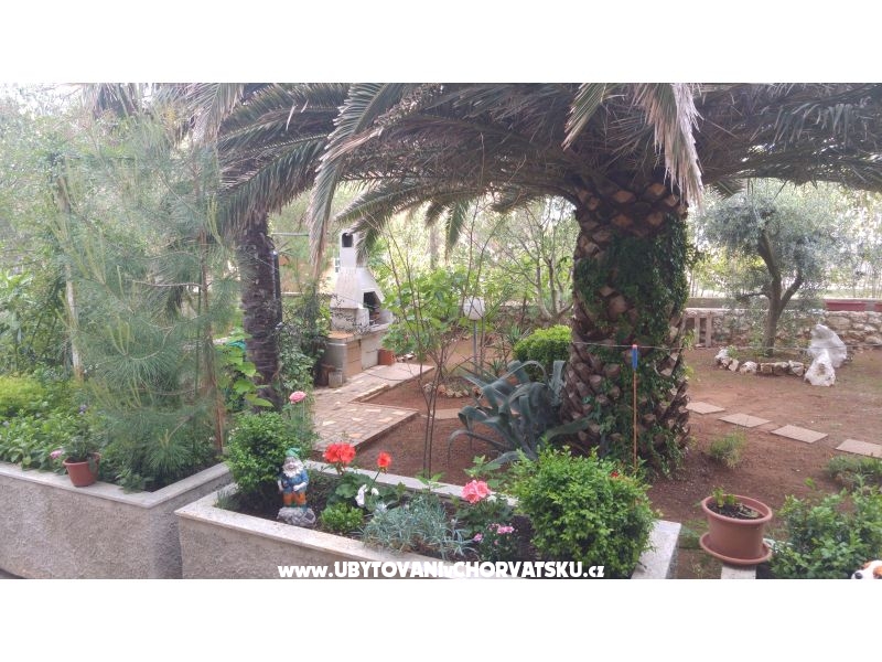 Appartements Milka Vir – Ferienwohnung Insel Vir, Kroatien – Foto 3