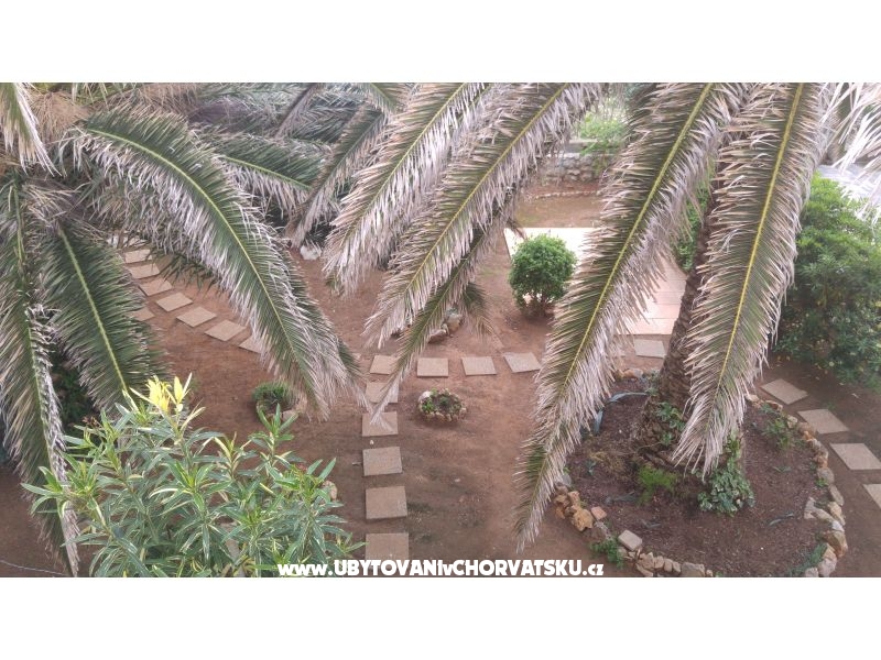 Appartements Milka Vir – Ferienwohnung Insel Vir, Kroatien – Foto 6