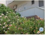 Appartements Mirko - ostrov Vir Croatie