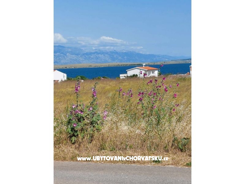 Apartmány Mišković – ubytování ostrov Vir, Chorvatsko – foto 1