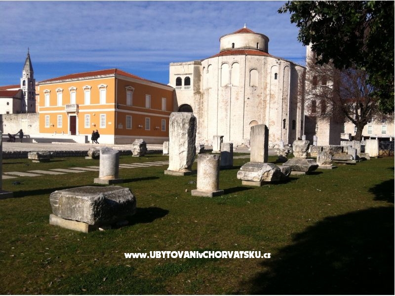 Appartements Nono Ive – Ferienwohnung Insel Vir, Kroatien – Foto 18