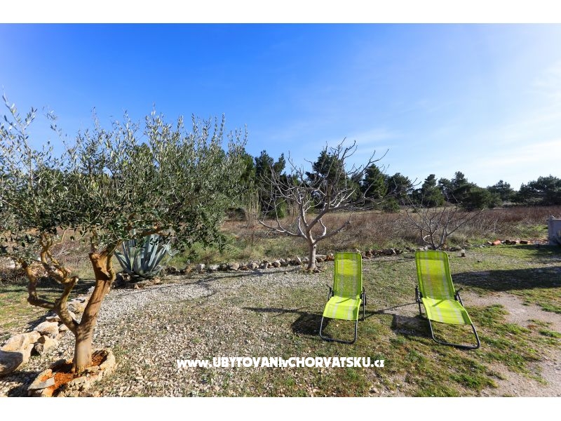 Appartements Meljančić – Ferienwohnung Insel Vir, Kroatien – Foto 10