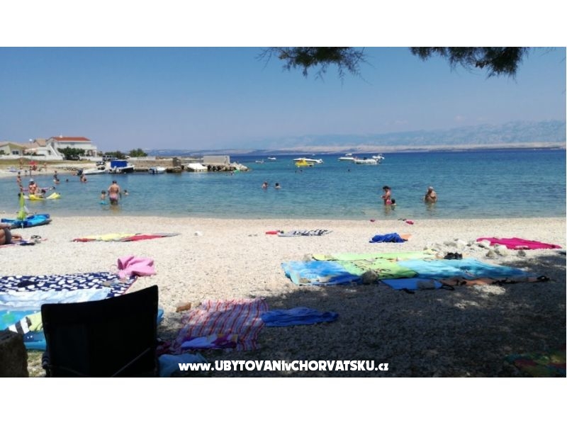 Appartements Meljančić – Ferienwohnung Insel Vir, Kroatien – Foto 11