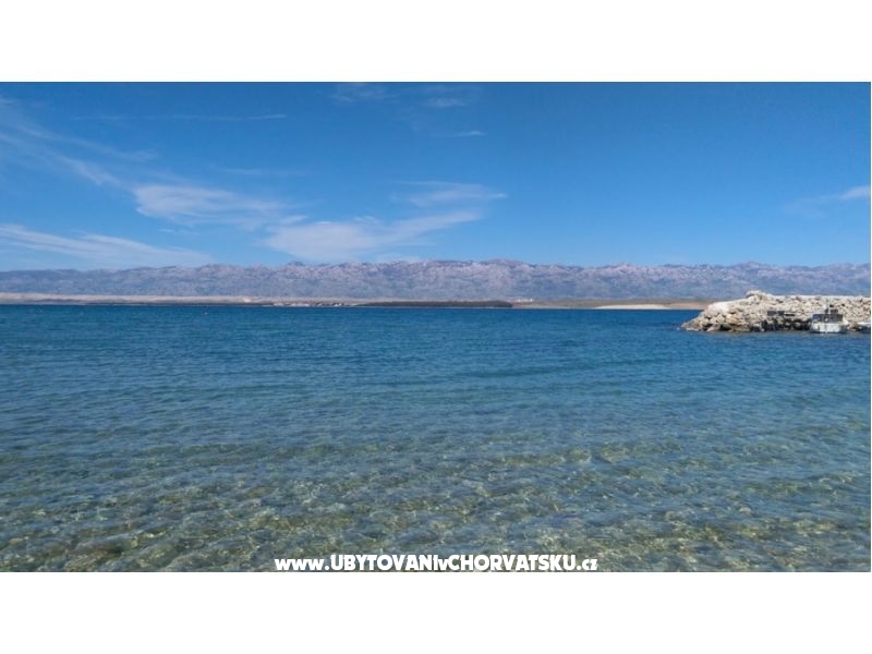 Appartements Meljančić – Ferienwohnung Insel Vir, Kroatien – Foto 12