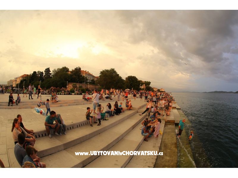 Appartements Meljančić – Ferienwohnung Insel Vir, Kroatien – Foto 17