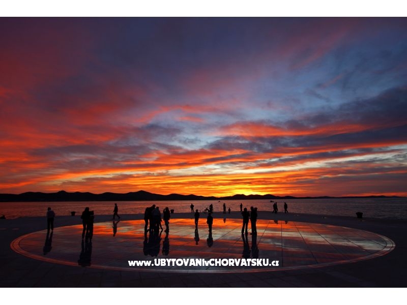 Appartements Meljančić – Ferienwohnung Insel Vir, Kroatien – Foto 4