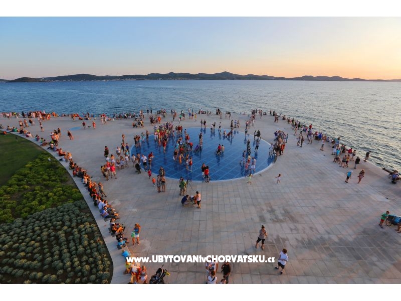 Appartements Meljančić – Ferienwohnung Insel Vir, Kroatien – Foto 5