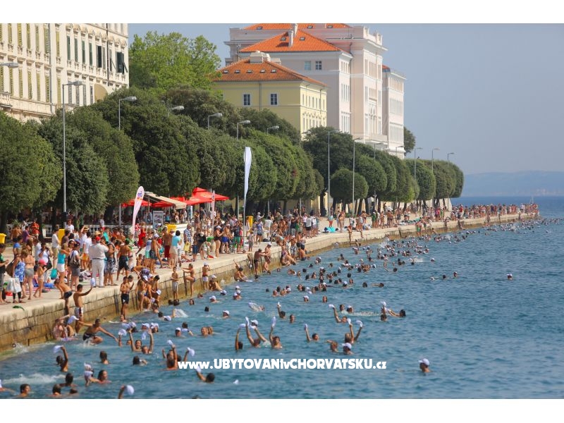 Appartements Meljančić – Ferienwohnung Insel Vir, Kroatien – Foto 6