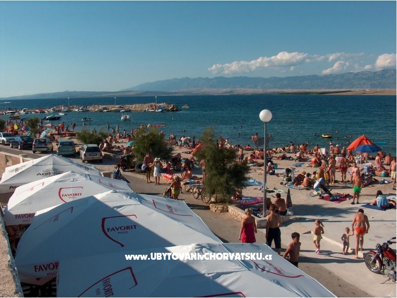 Appartements Oto Ivanka – Ferienwohnung Insel Vir, Kroatien – Foto 17