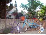 Appartements Peainovi - ostrov Vir Kroatien