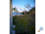 Appartements Pedic - ostrov Vir Kroatien