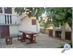 Appartements Pedic - ostrov Vir Croatie
