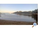 Appartements Pedic - ostrov Vir Croatie