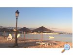 Appartements Pedic - ostrov Vir Croatie