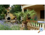 Appartements Petar - ostrov Vir Kroatien