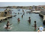 Appartements Petar - ostrov Vir Croatie