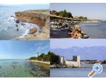 Appartements Petar - ostrov Vir Croatie