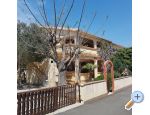 Appartements Petar - ostrov Vir Croatie