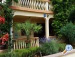 Appartements Petar - ostrov Vir Croatie