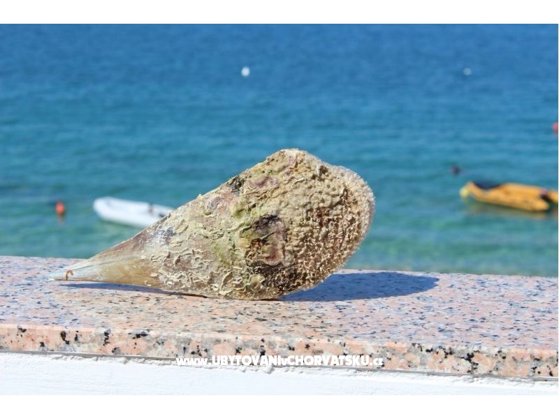 Appartements Por – Ferienwohnung Insel Vir, Kroatien – Foto 2