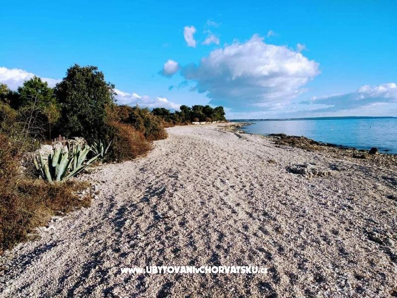 Appartements Samanta Vir – Ferienwohnung Insel Vir, Kroatien – Foto 4