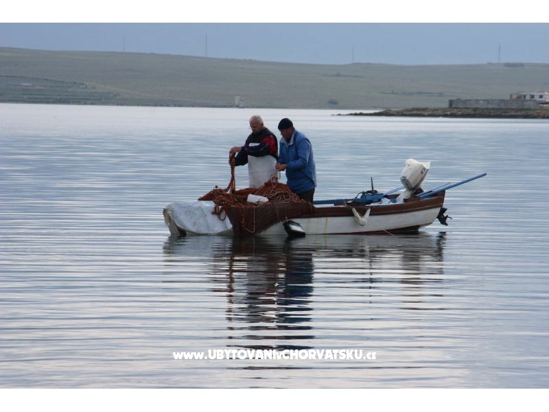 Appartements Stumberger  – Ferienwohnung Insel Vir, Kroatien – Foto 10