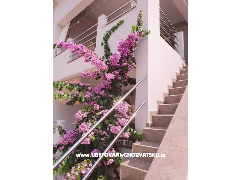 Appartements Maja – Ferienwohnung Insel Vir, Kroatien – Foto 1