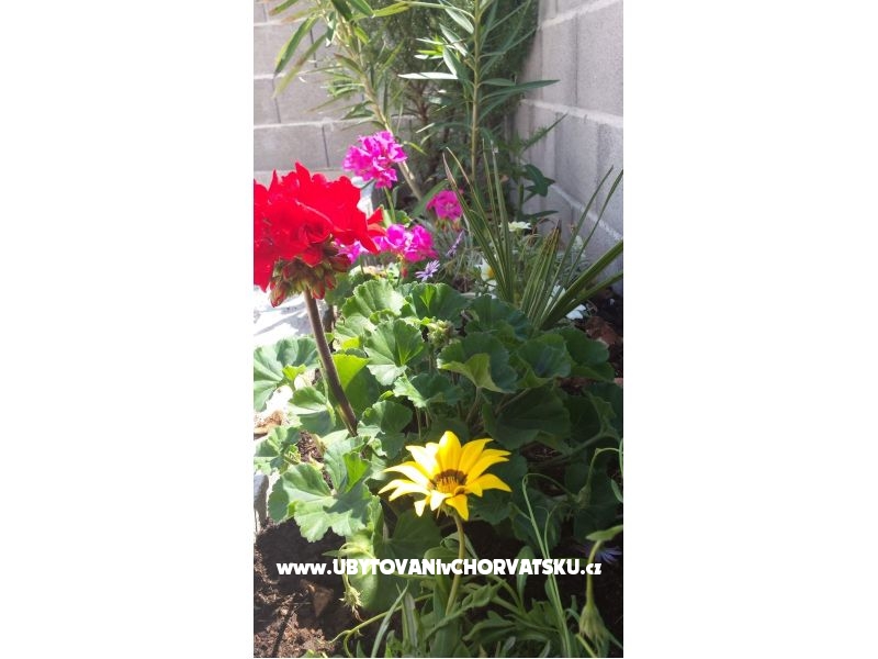 Appartements Maja – Ferienwohnung Insel Vir, Kroatien – Foto 14