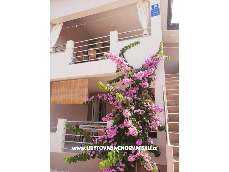 Appartements Maja – Ferienwohnung Insel Vir, Kroatien – Foto 16