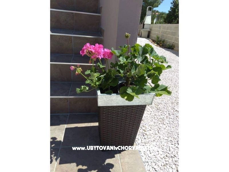 Appartements Maja – Ferienwohnung Insel Vir, Kroatien – Foto 5