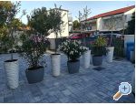 Apartmány Sunce – ostrov Vir – náhled 34
