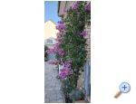 Apartmány Sunce – ostrov Vir – náhled 35