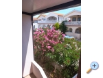 Appartements Taramis - ostrov Vir Kroatien