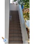 Appartements Taramis - ostrov Vir Kroatien