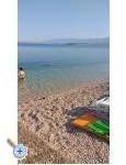 Appartements Taramis - ostrov Vir Croatie