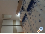 Appartements Topalovic - ostrov Vir Kroatien