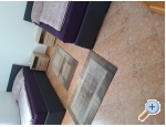 Appartements Topalovic - ostrov Vir Kroatien
