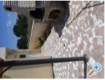 Appartements Topalovic - ostrov Vir Kroatien